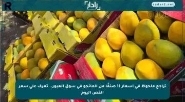 تراجع ملحوظ في أسعار 11 صنفًا من المانجو في سوق العبور.. تعرف على سعر الفص اليوم